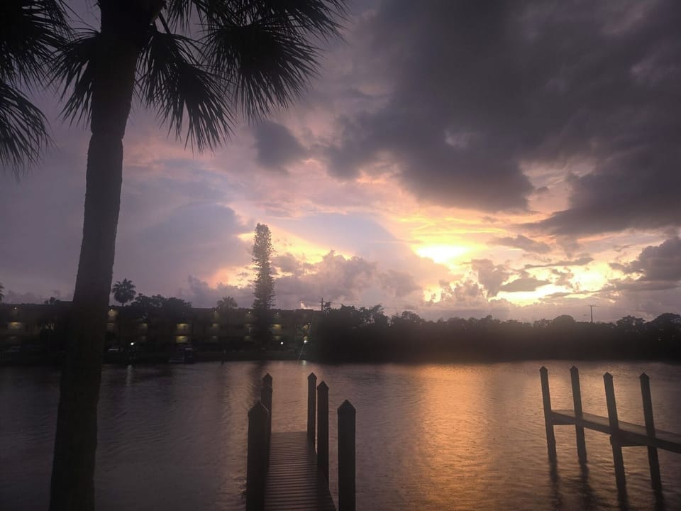 View from back yard.
