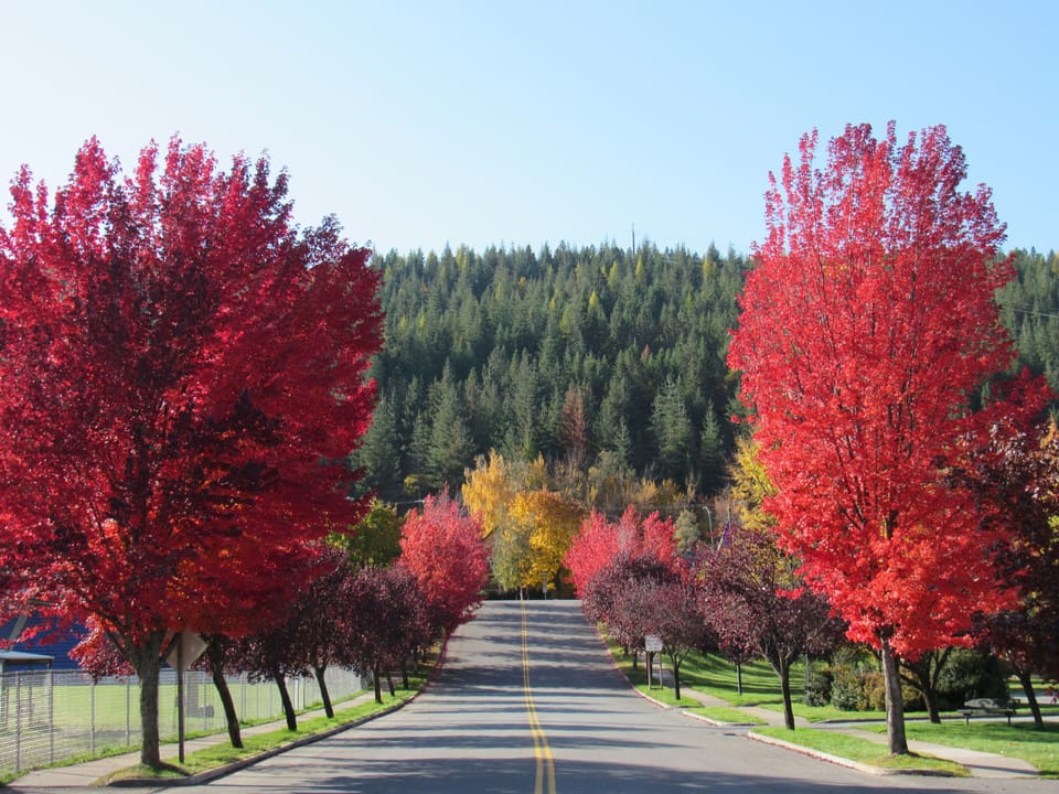 Hill St. in the Fall
