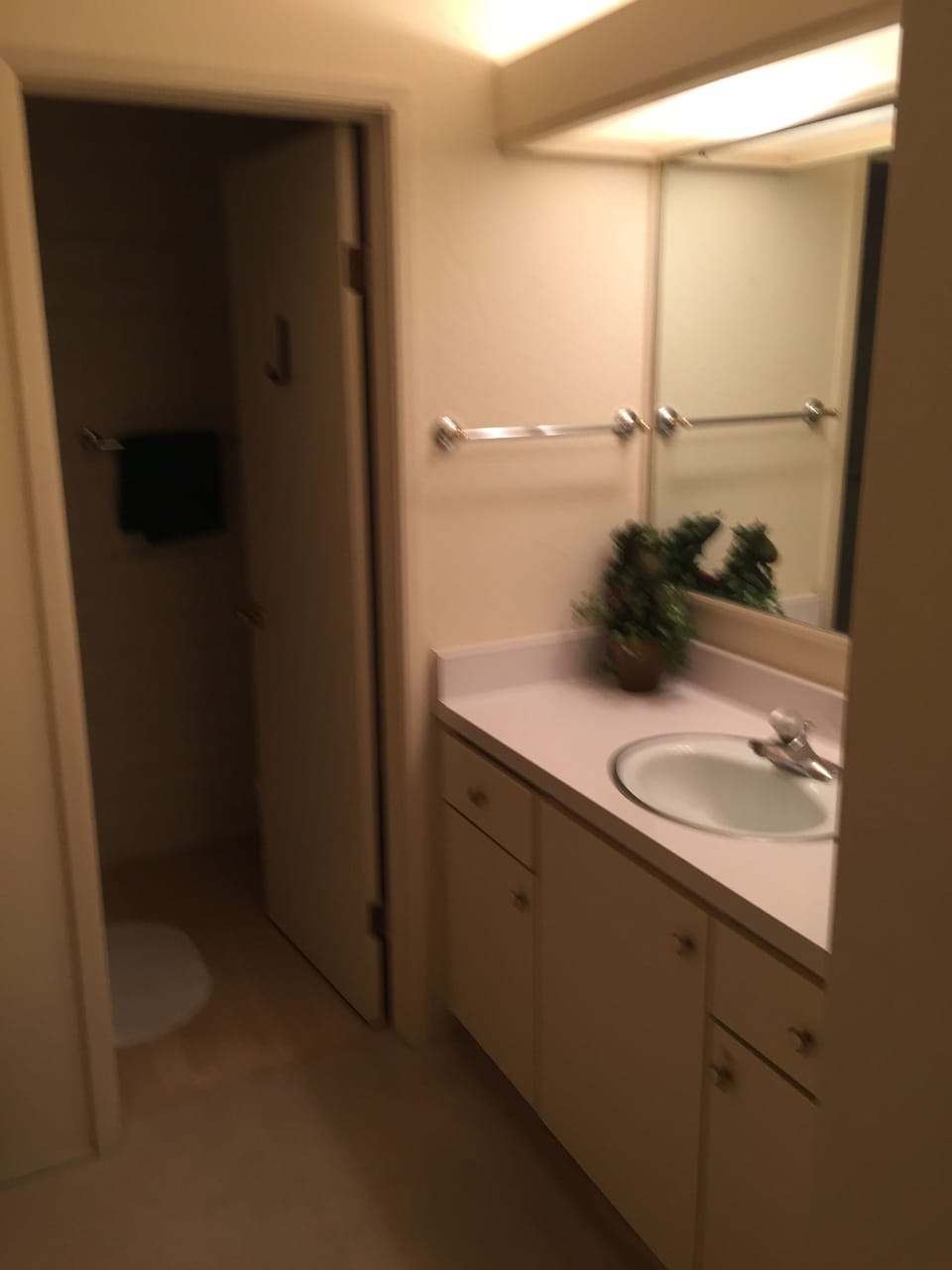 Bathroom - Now with Hardwood Floor