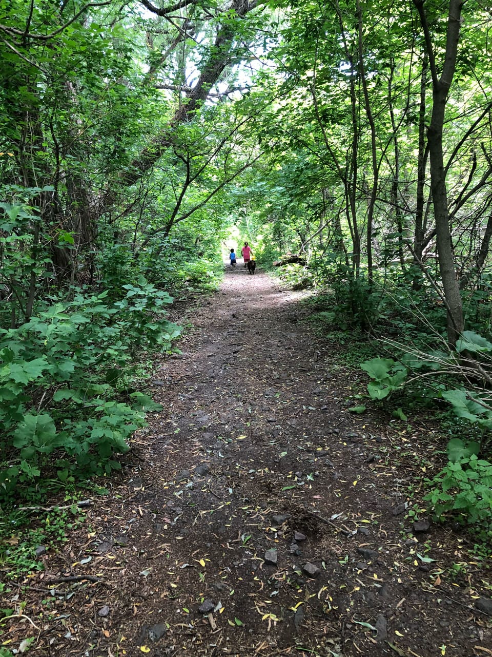 Beautiful bike & foot trail across the street from the cabin.