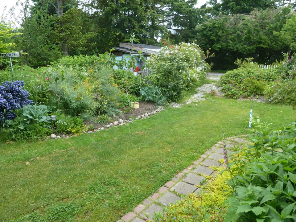 Pathway from Parking area