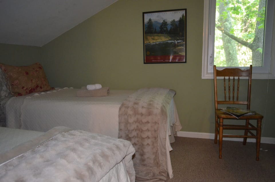 Guest bedroom with bright bedding and nature views. two twin beds