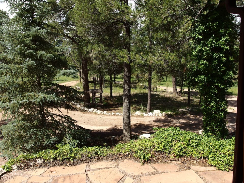 Gorgeous fully fenced front yard from the porch