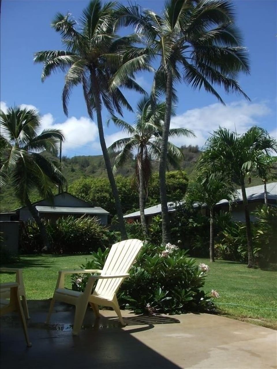 Lanai and spacious grounds