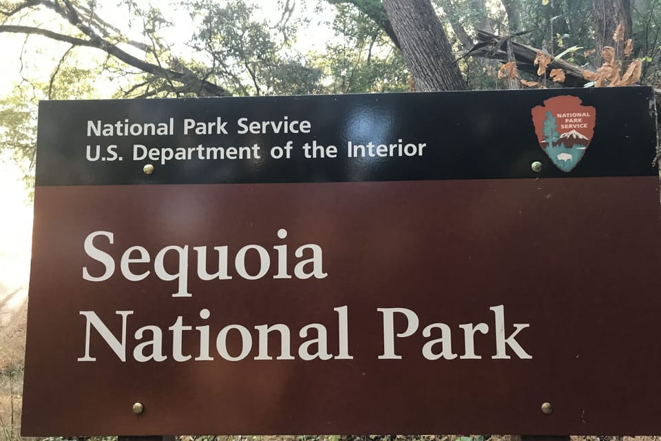 You are not far from little used Lady Bug Trail in Sequoia.