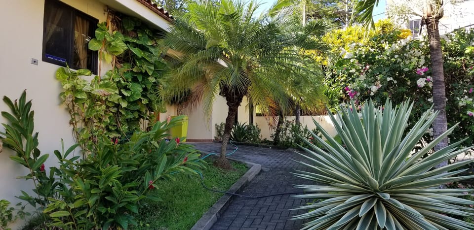 Front yard view from driveway.