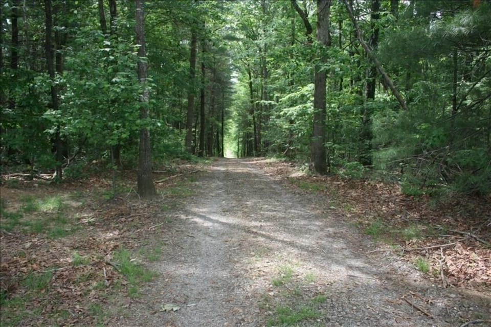 The peaceful drive to paradise...