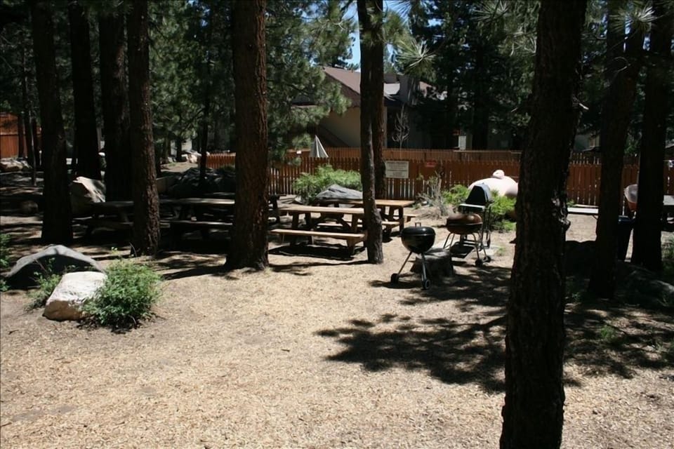 Horseshoes, BBQ and Picnic Benches for the Family!!
