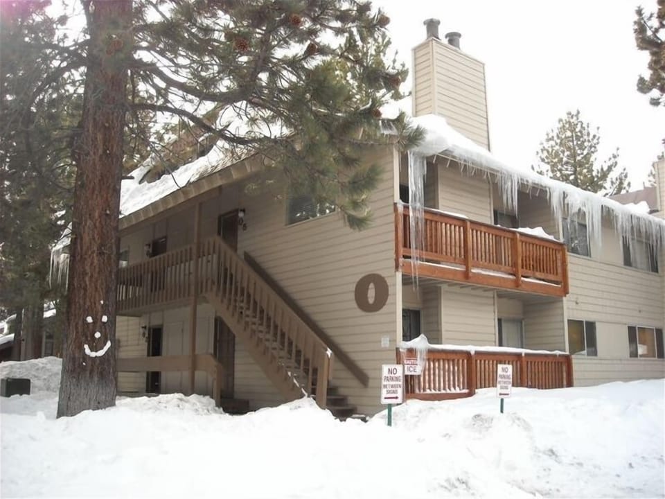 Beautiful Complex with Huge Pine Trees all Around. Free Bus to Slopes & Shops.
