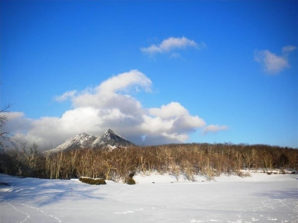 McRea Meadows behind the house. Great place to cross country ski