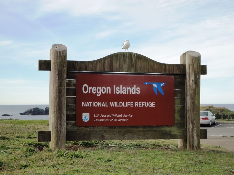 Oregon Islands National Wildlife Refuge 1/2 block from the vacation rental. 