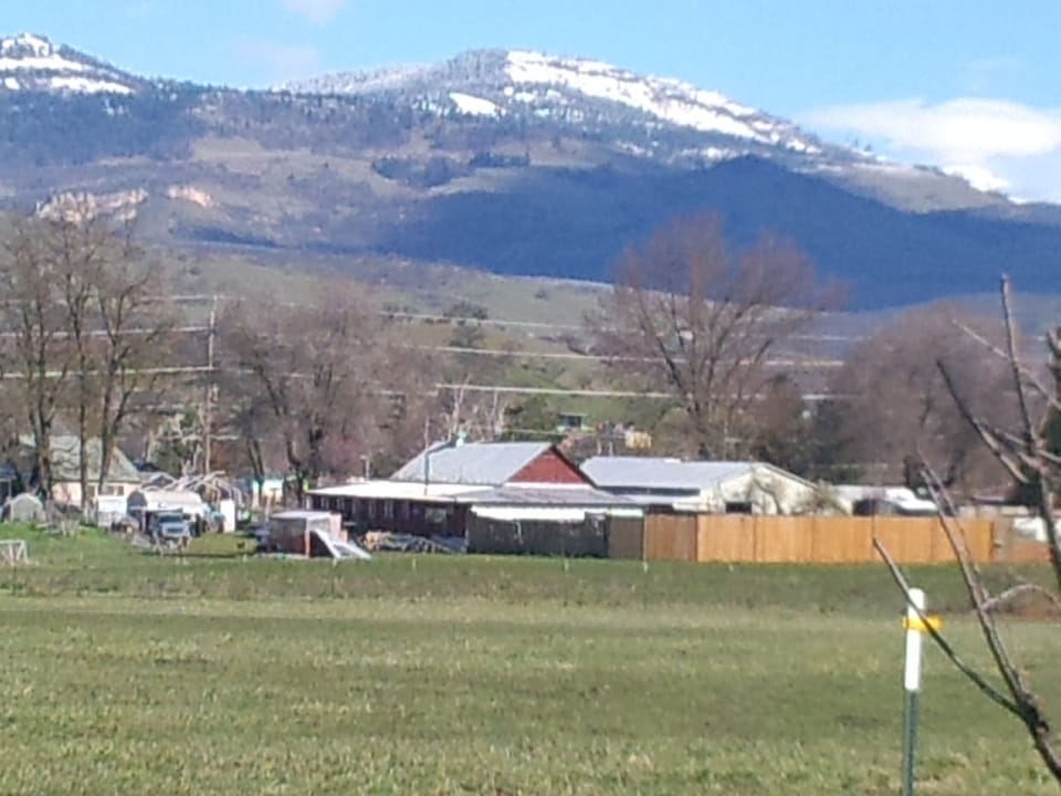 Mountain scene from back yard