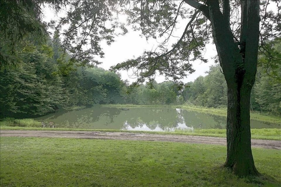 Fishing & Swimming Pond