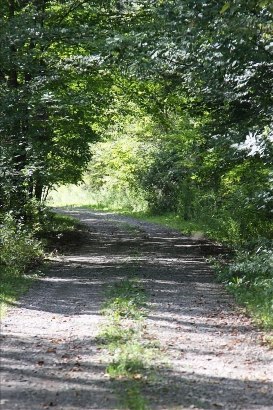 Explore Hiking & Biking Trails 