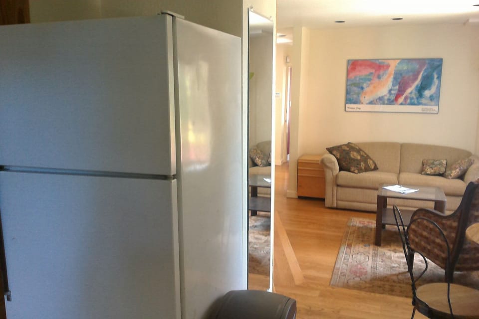 view of living room from the kitchen