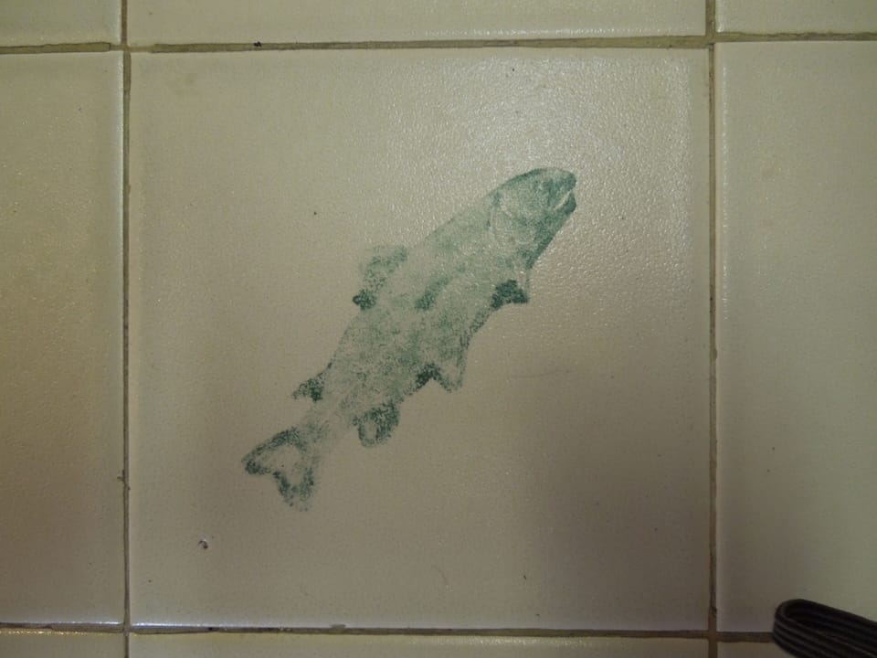 Custom trout tile on bathroom floor.  
