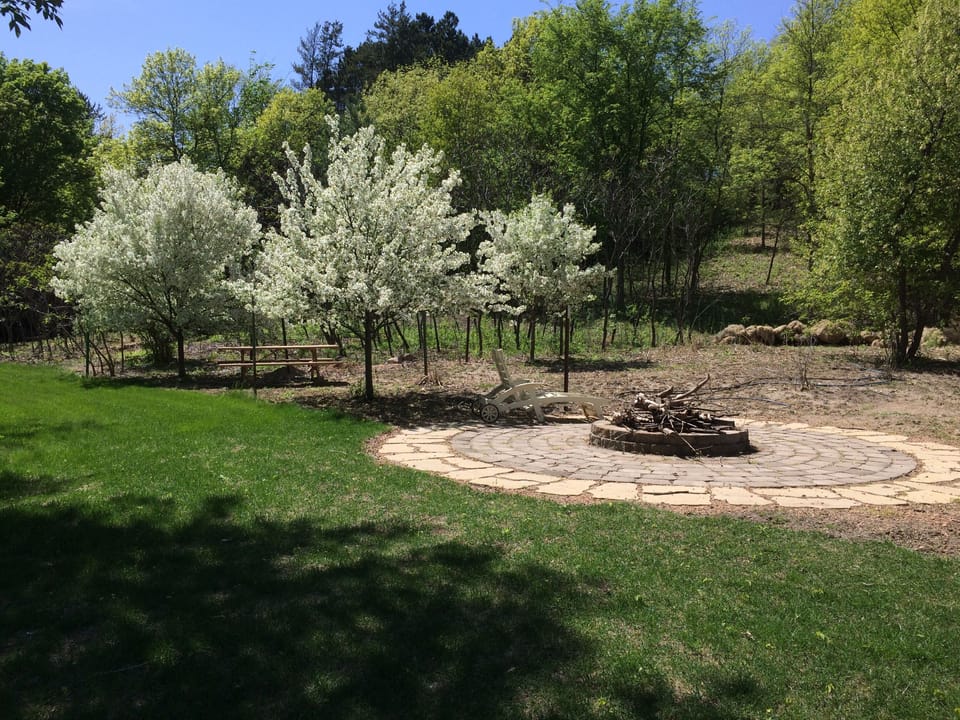 Firepit in the spring.