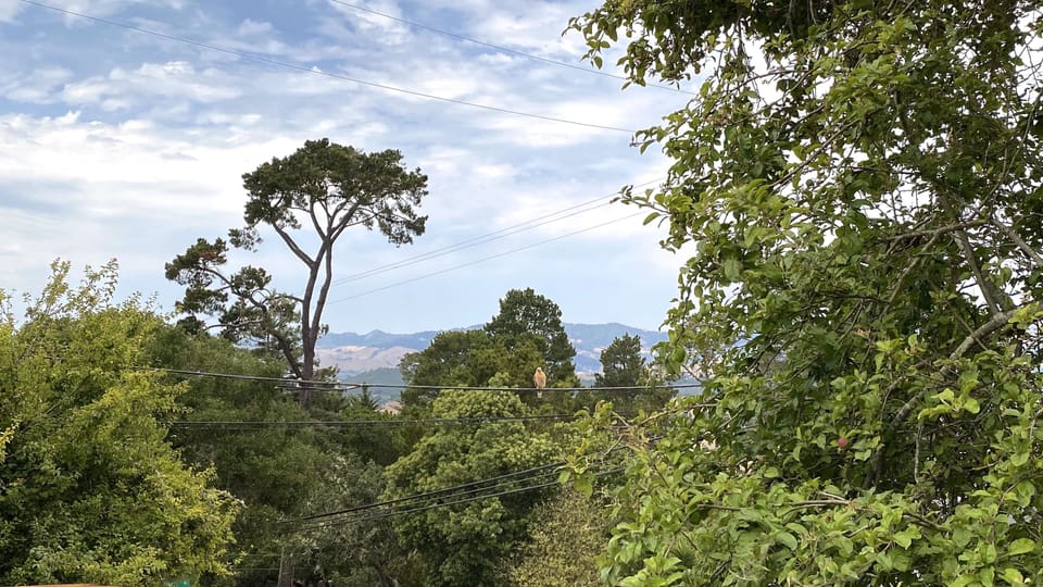 Views from deck.