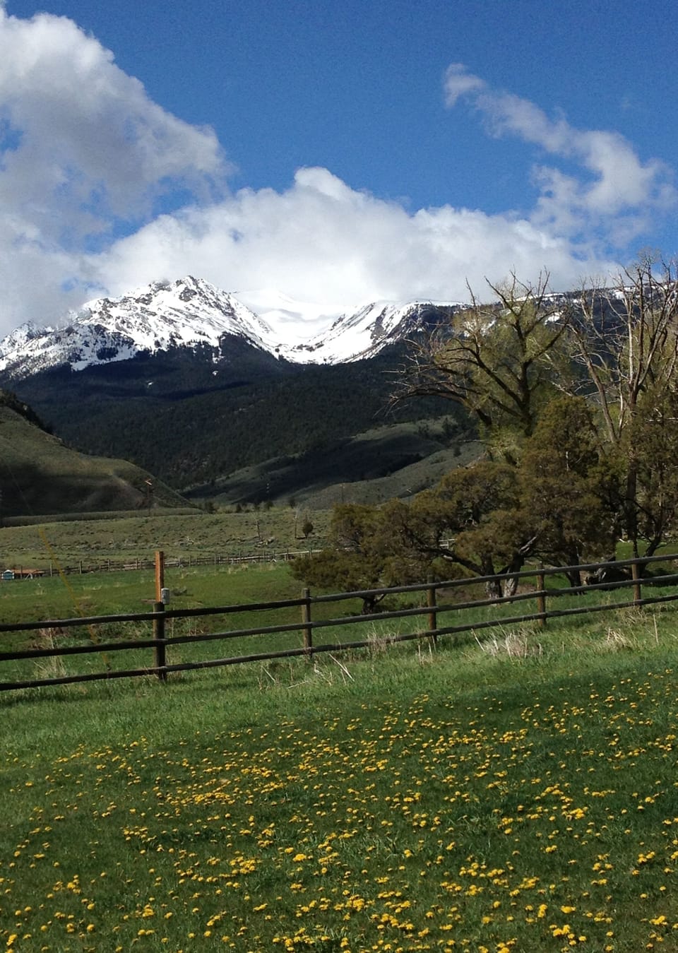 Gorgeous spring day with views of Electric Peak. Yards from YNP border, on river