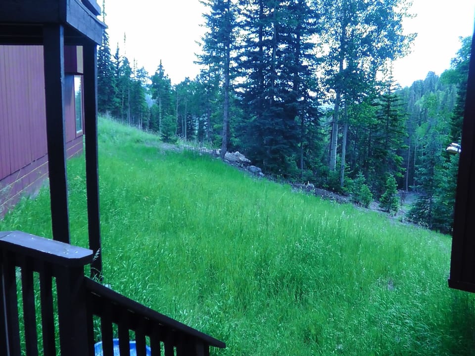 View from front door