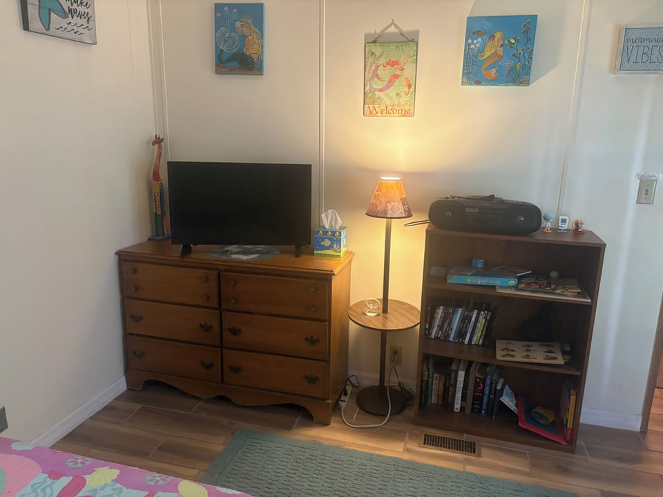 Shows tv, kids toys, bookshelf