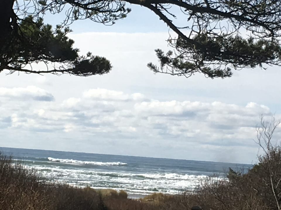 On the beach at Governor Patterson's State Park