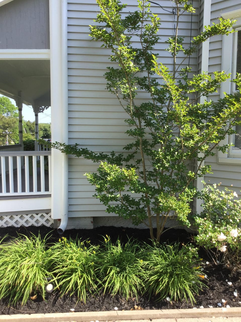 Small fenced in back yard with large patio area.