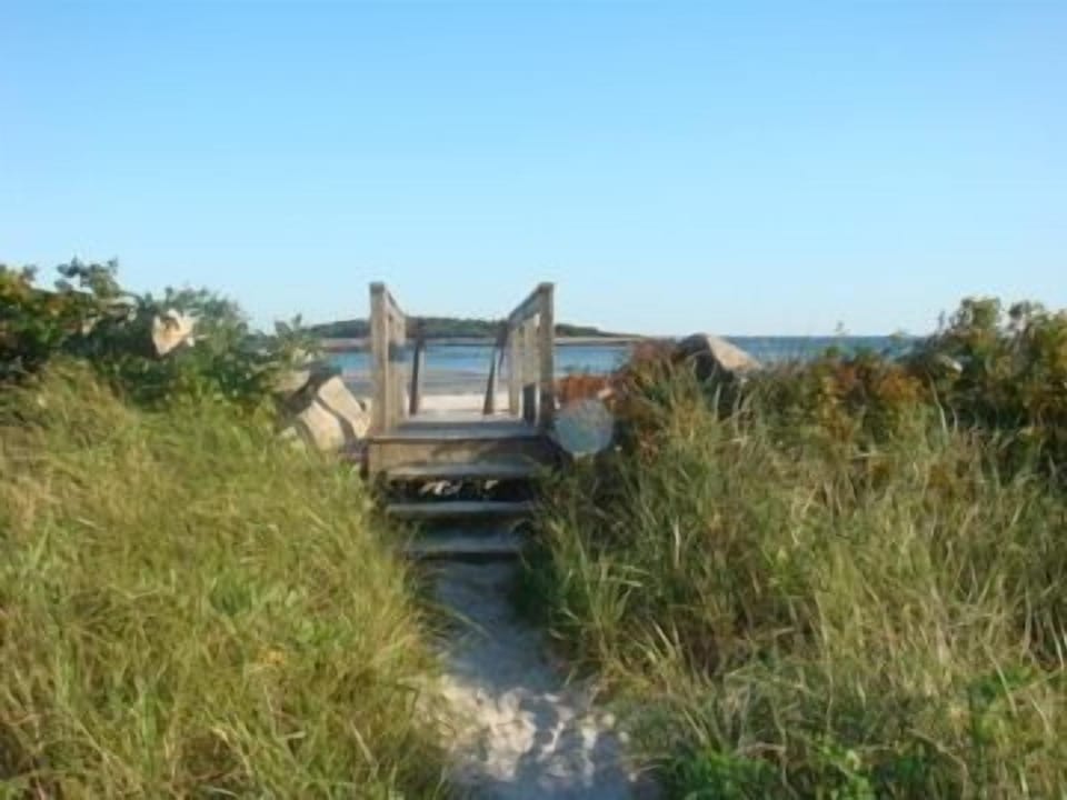 On the Beach Path...