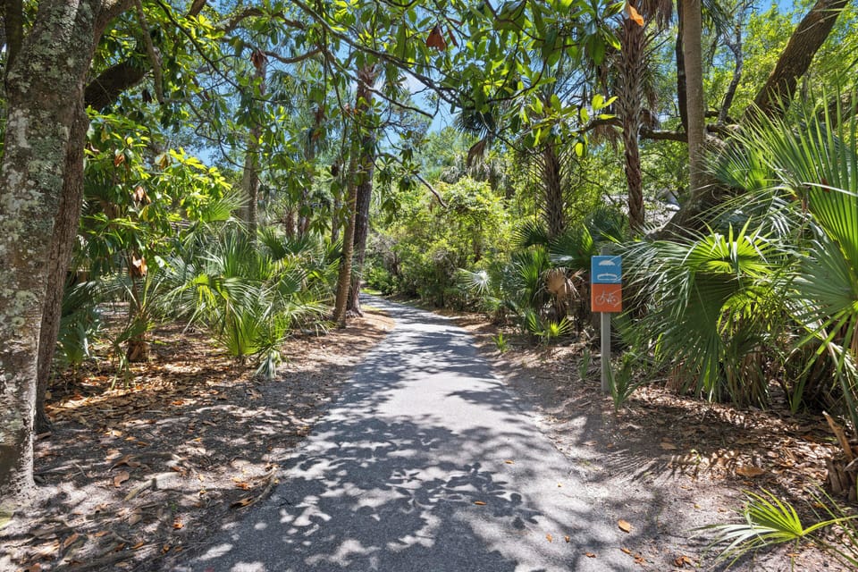 Pathway to the beach!