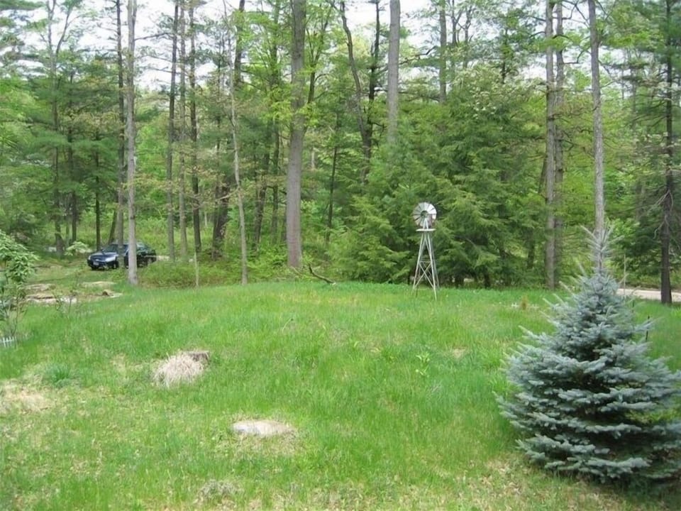 View from Front of Cabin