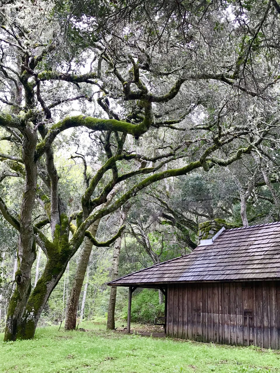 Garland ranch Regional Park—within walking distance of the house.