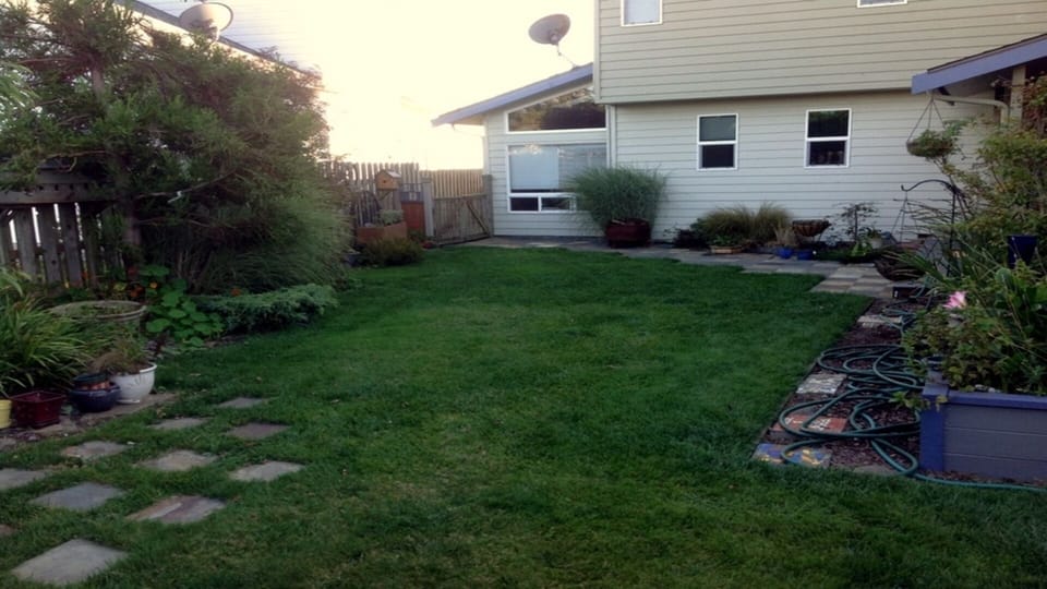 Spacious back yard.