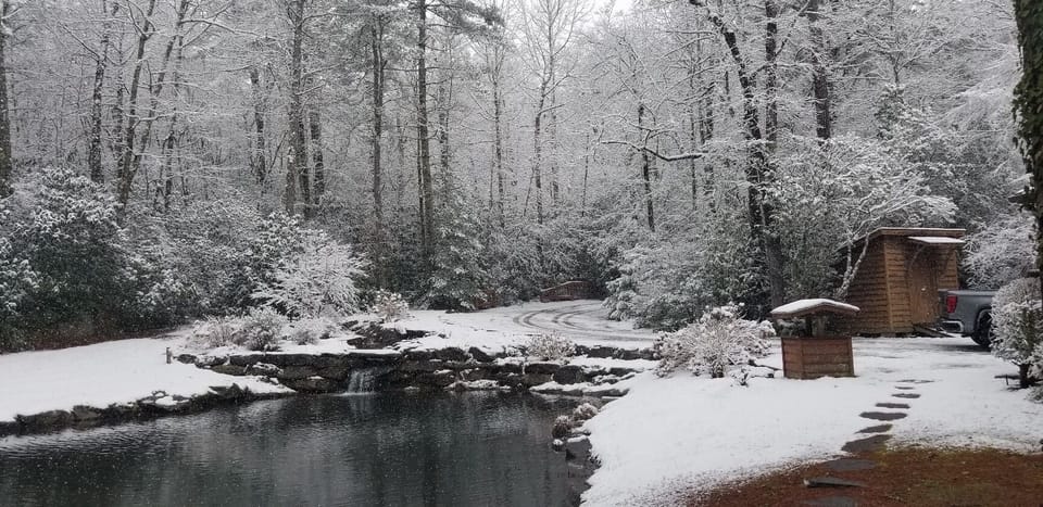 Front pond  -winter wonderland 