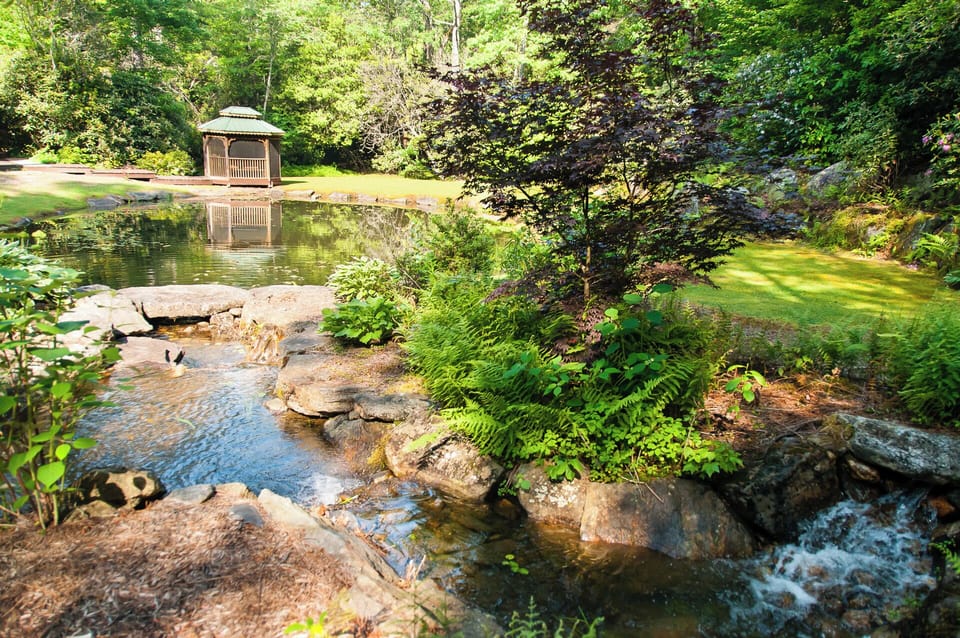 Front yard pond with waterfall 
