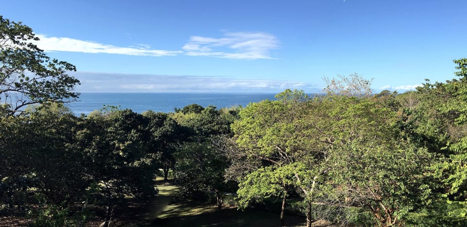 View from Bedroom 