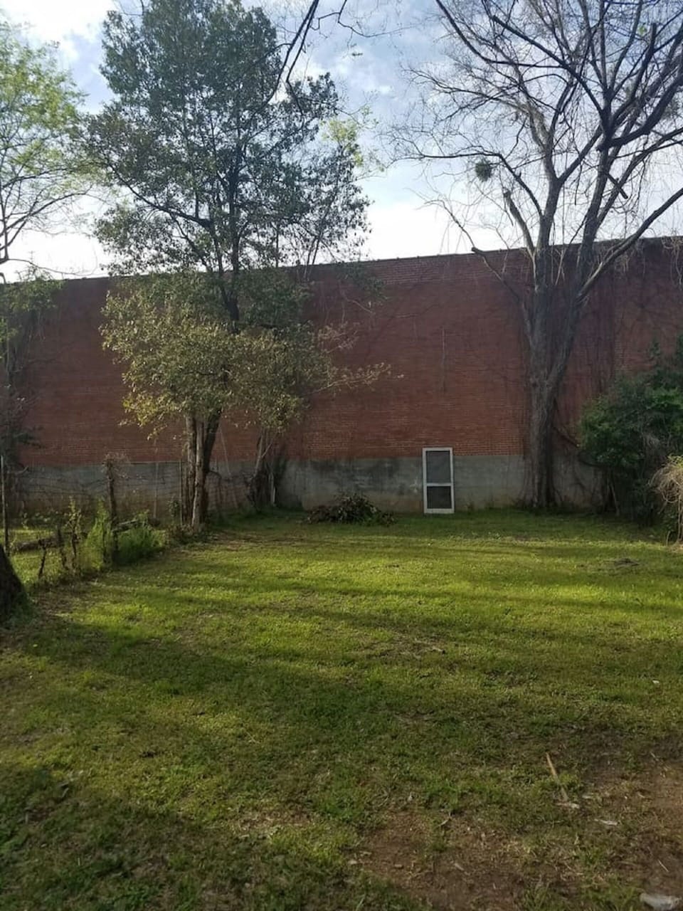 Spacious Back yard