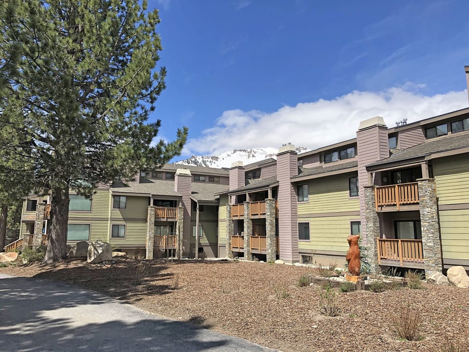 Beautiful Courtyard area w/ built in BBQ station surrounded by towering pines.