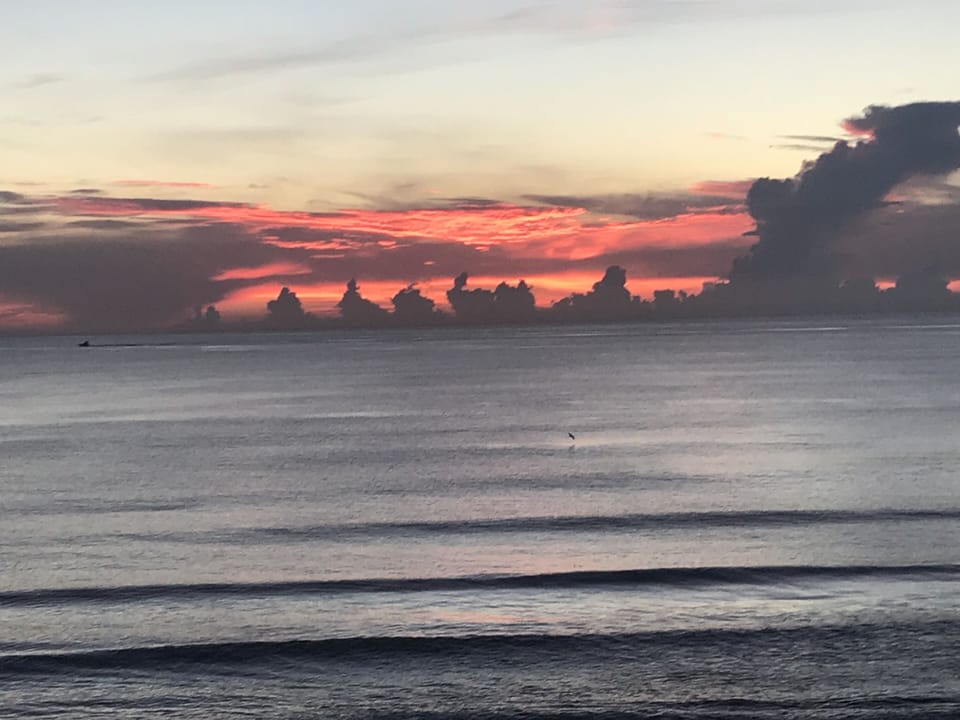 Sunrise view from the beach, just over the dunes.
