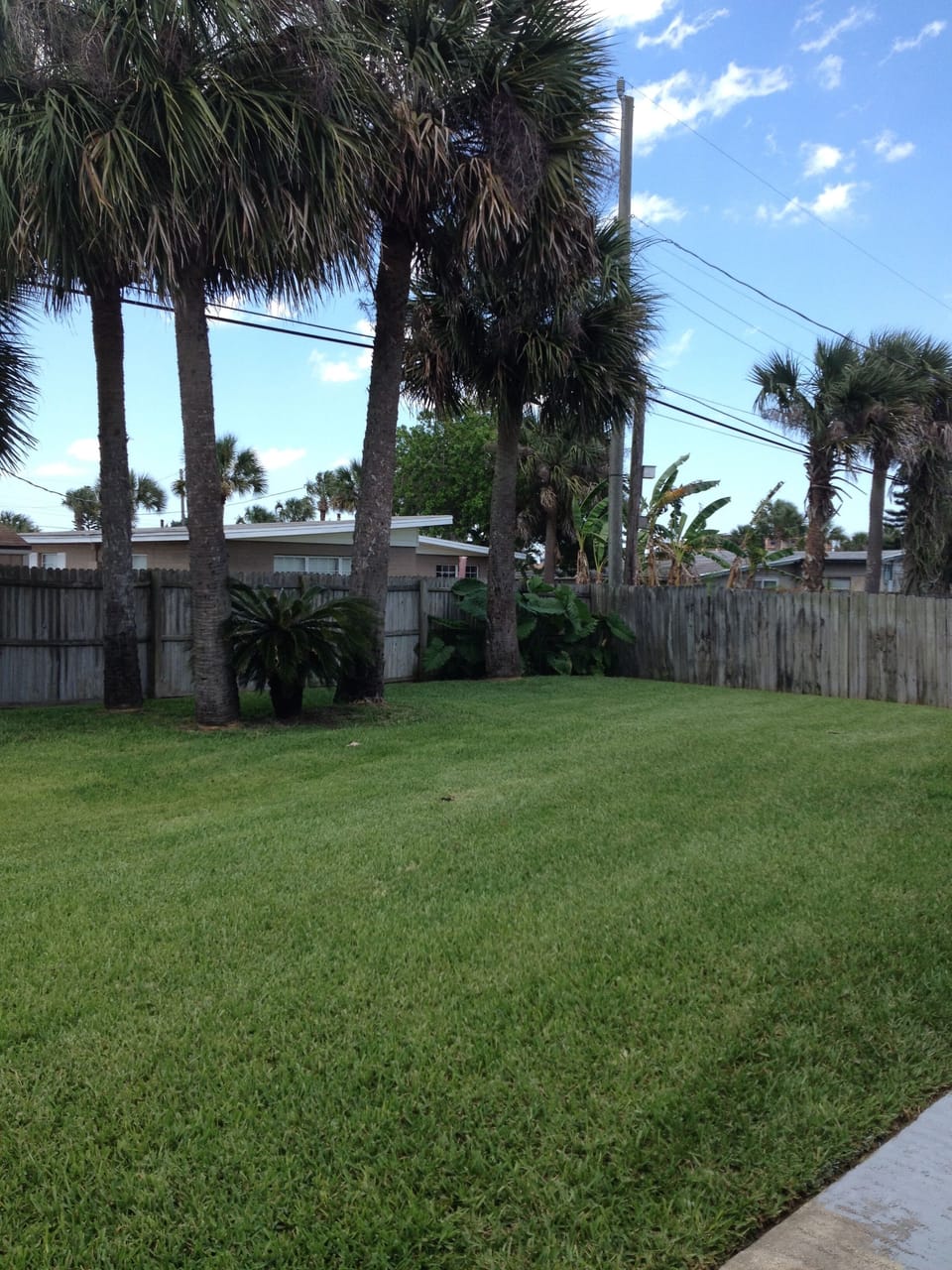 Large and completely fenced back yard.