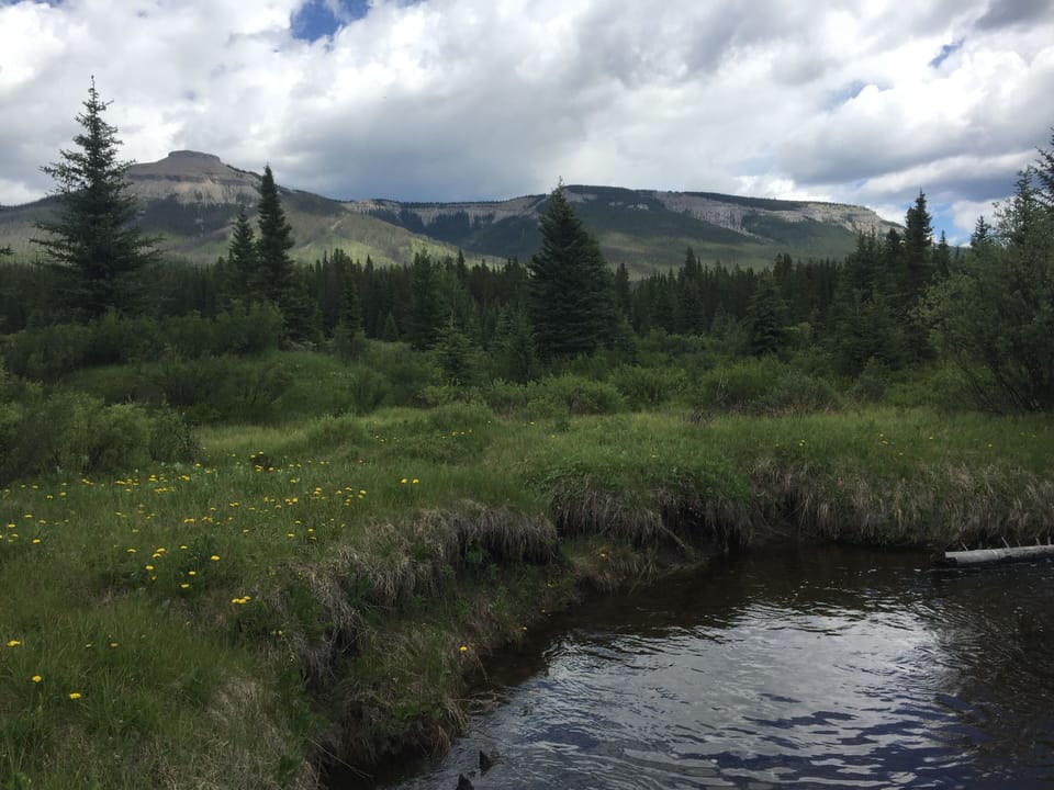 Mount Coliseum and Shunda Creek from walking trail