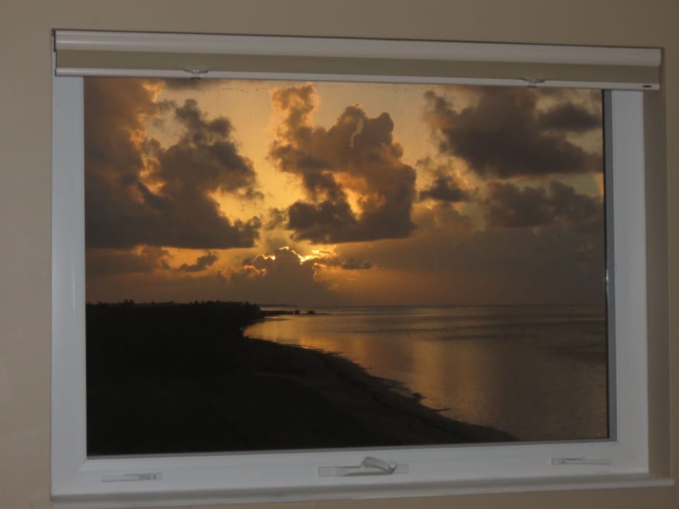 Window views!
