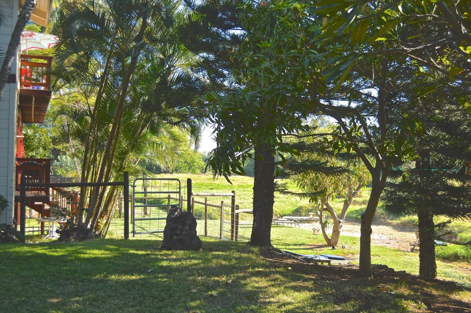 Your back yard.