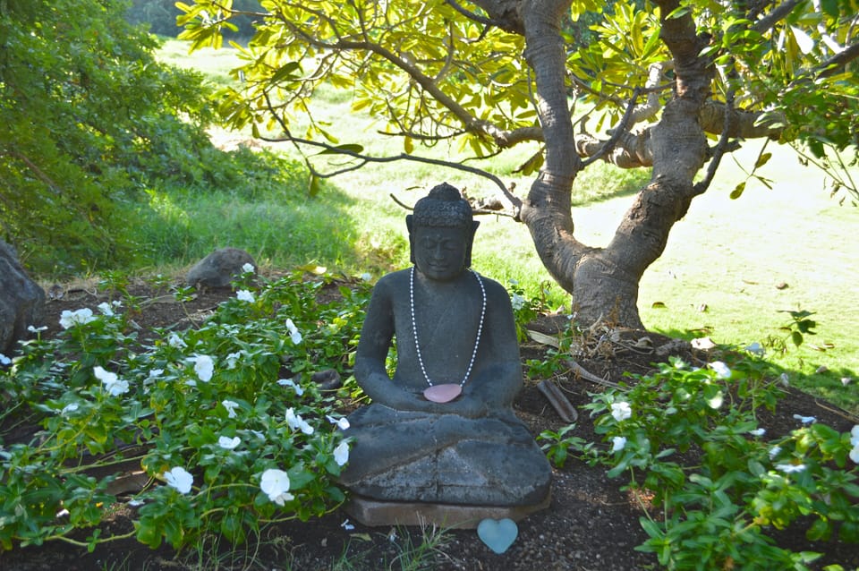 Buddha garden.