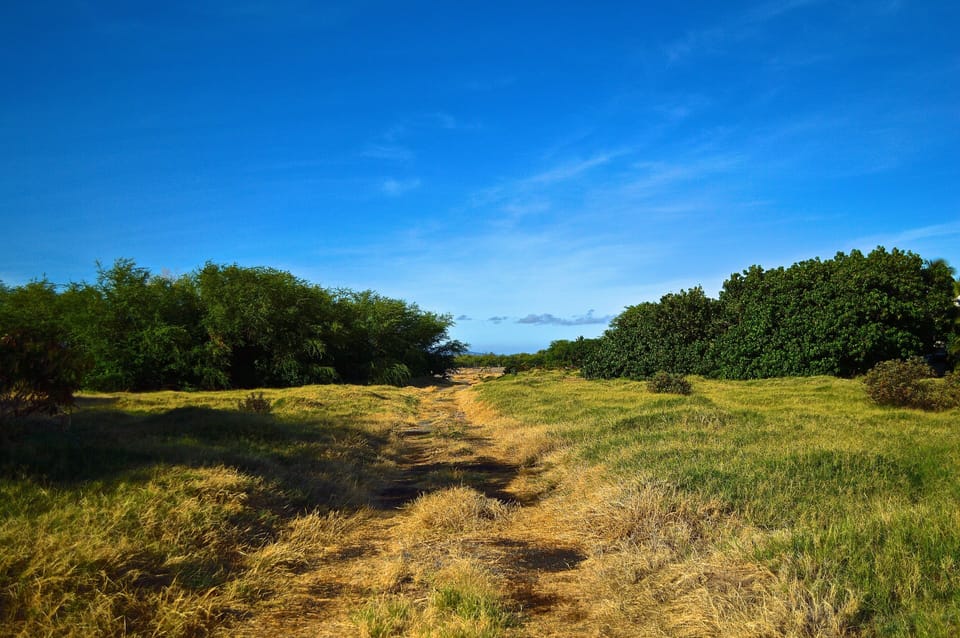 Fire road trail right out the back door. 