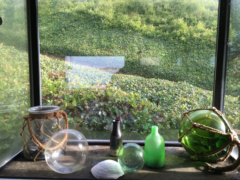 Kitchen window: Pacific NW climate means plants and sky and water everywhere