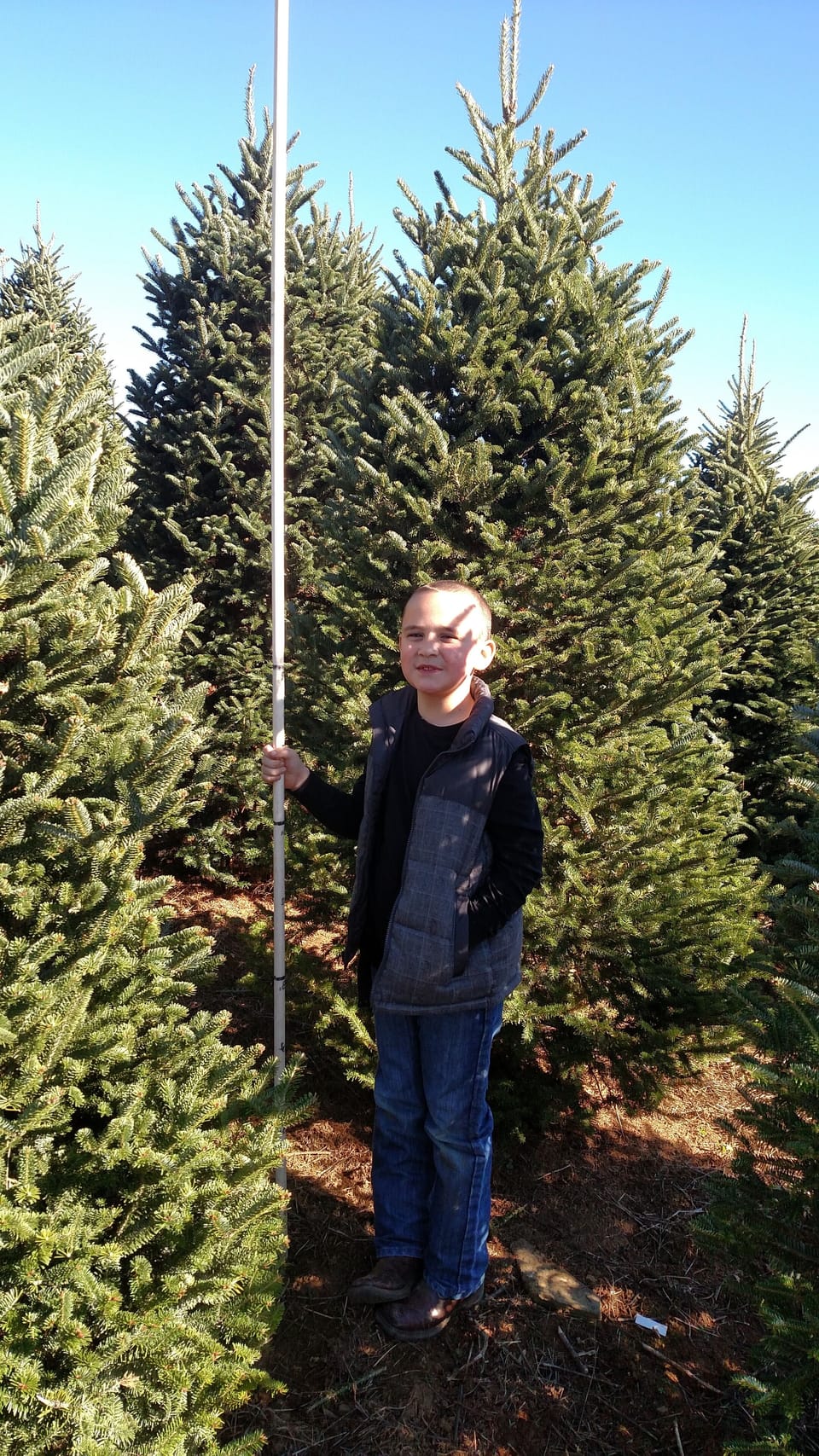 Grandson helping us pick out a tree