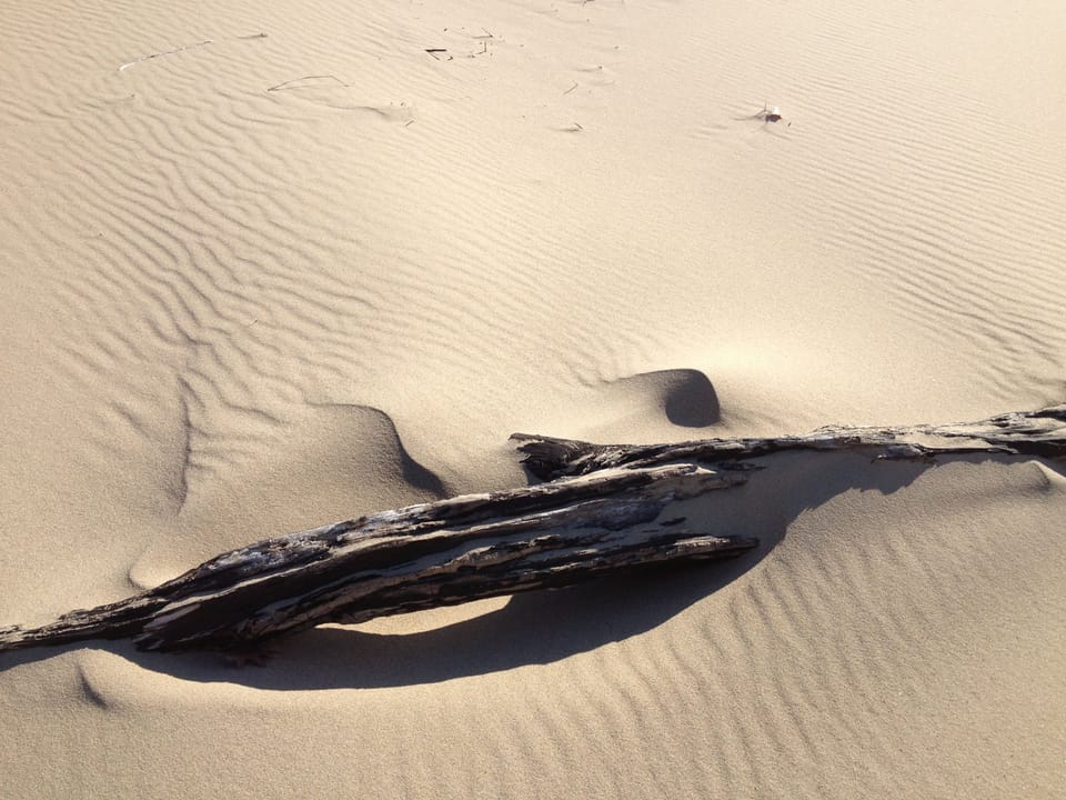 Sand sculpture