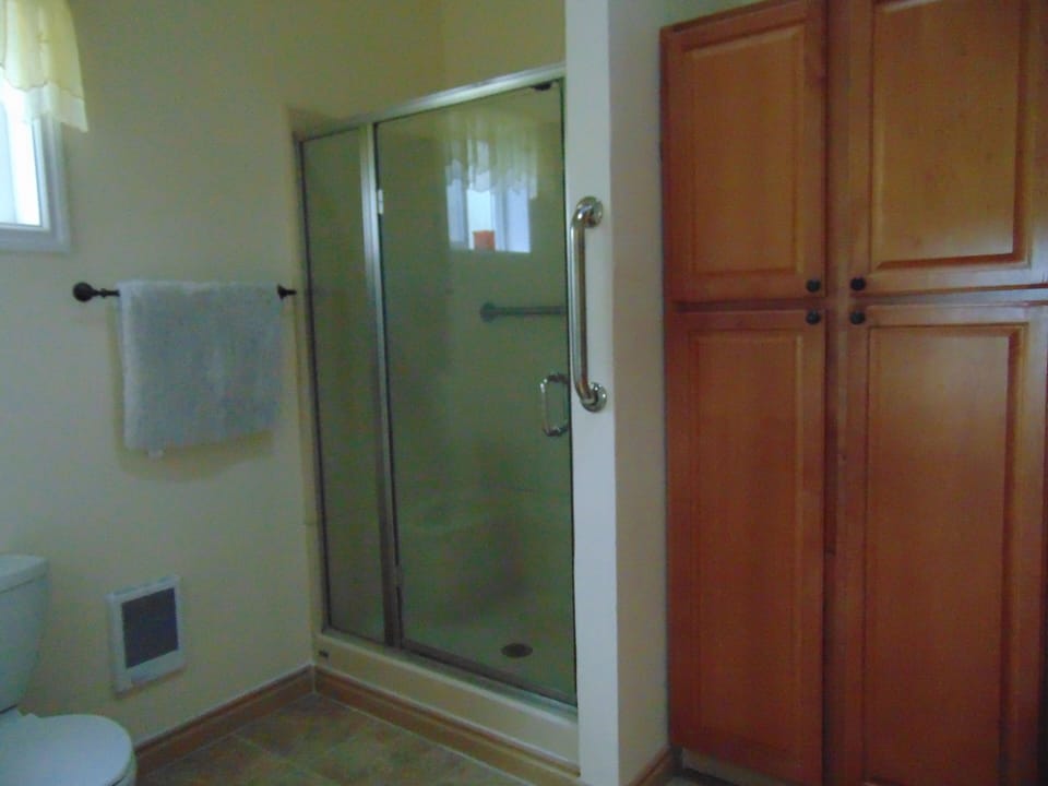 Large stall shower and linen cabinet in bathroom.