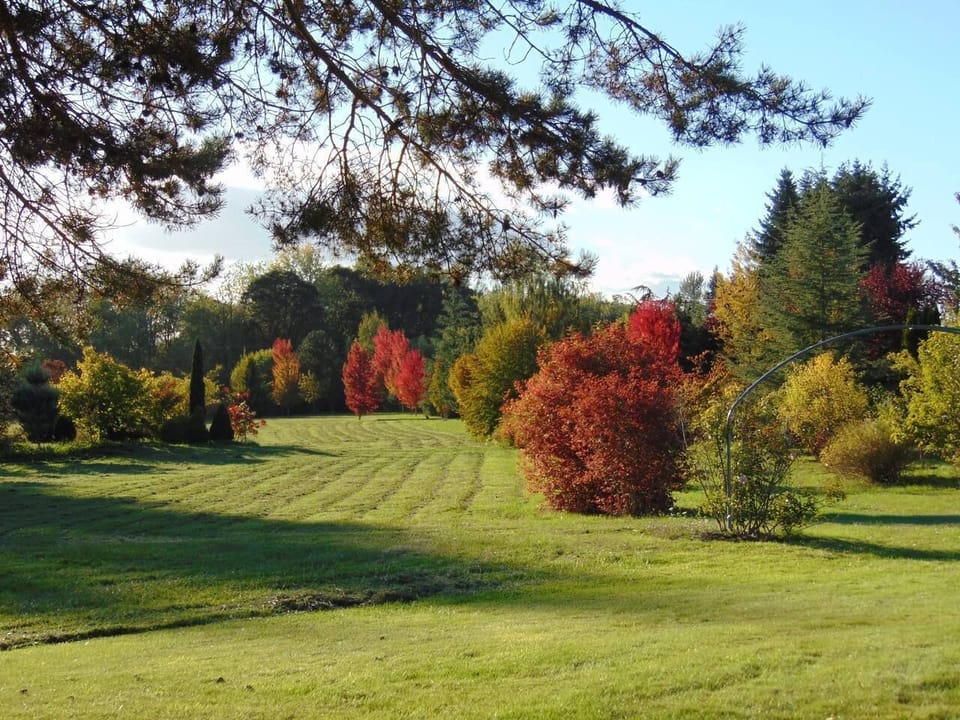 Early fall colors in our field.