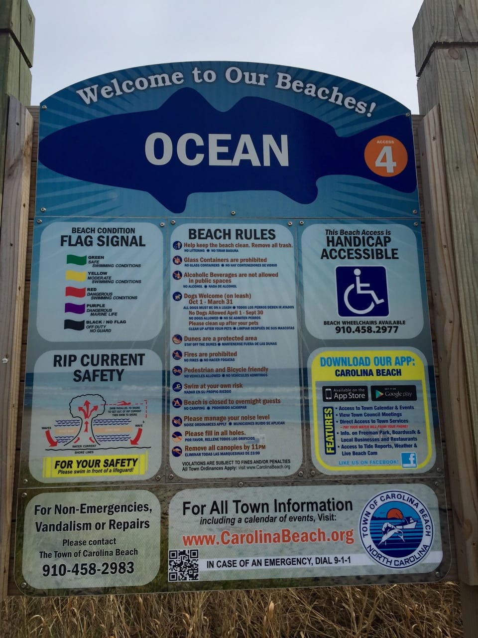 Beach Information/ including dog rules- www.CarolinaBeach.org